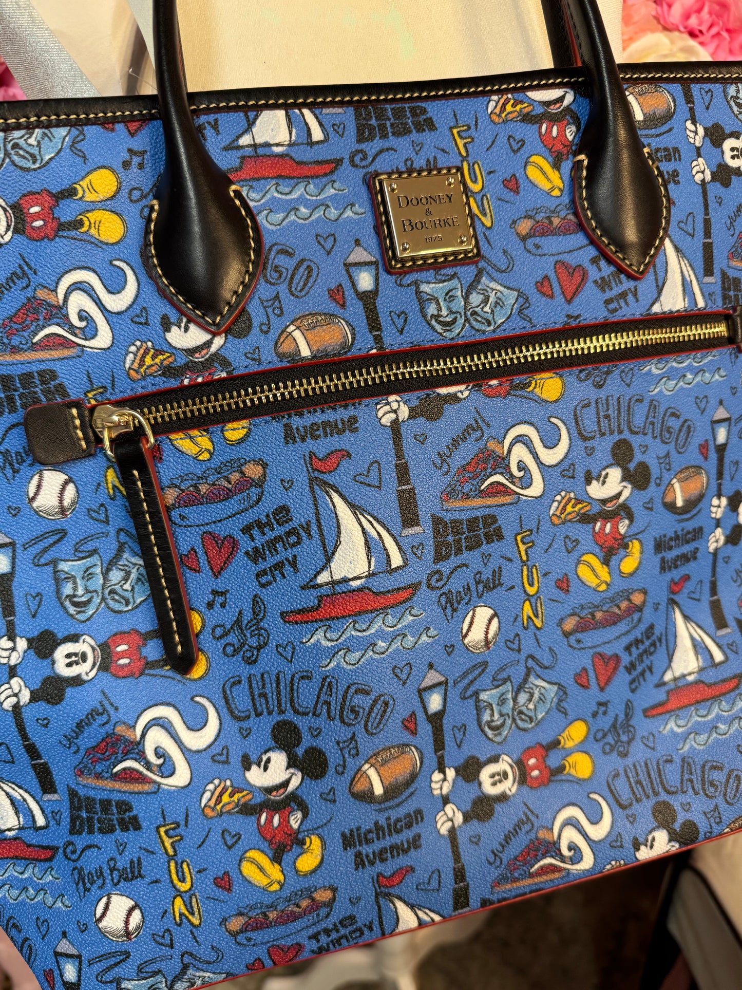 Disney Dooney & Bourke Chicago Purse